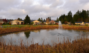 Photo of the pond at Stillwaters Estates Retirement Community